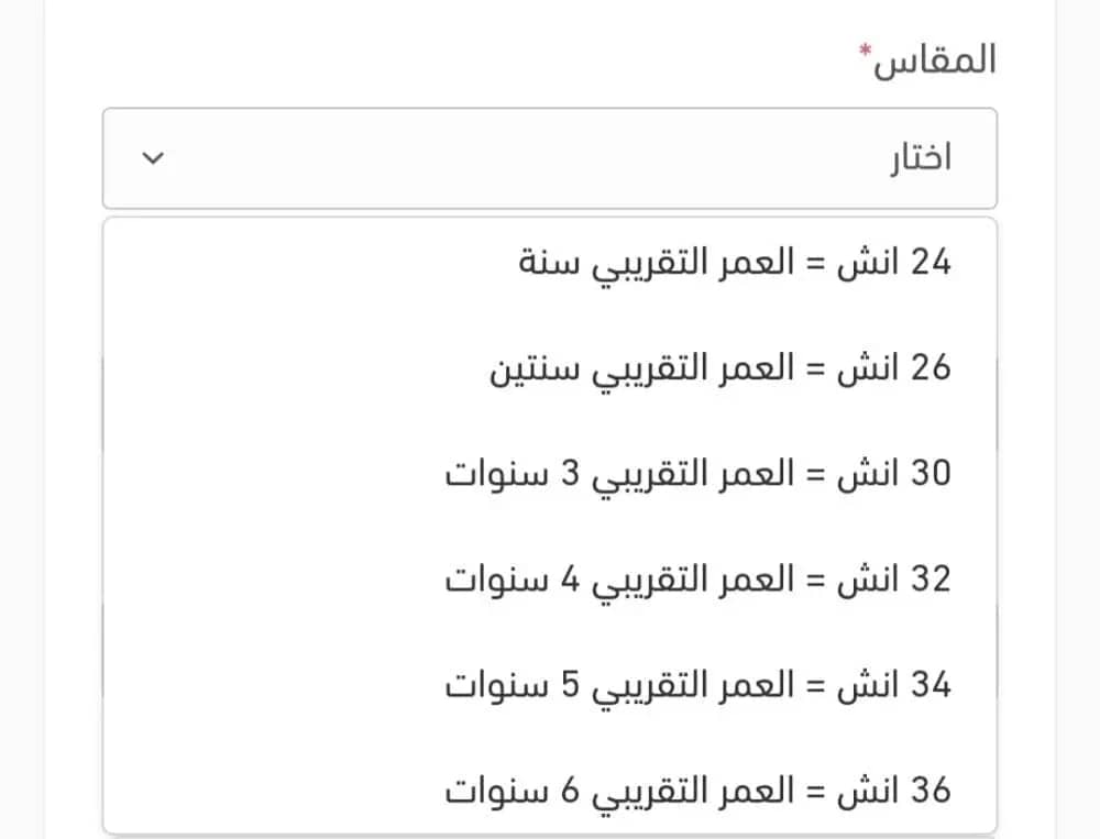 صورة المنتج