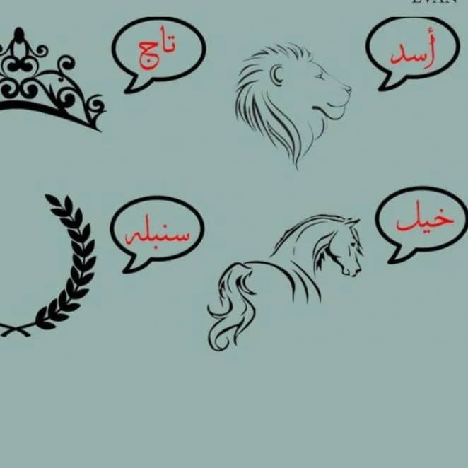 صورة المنتج