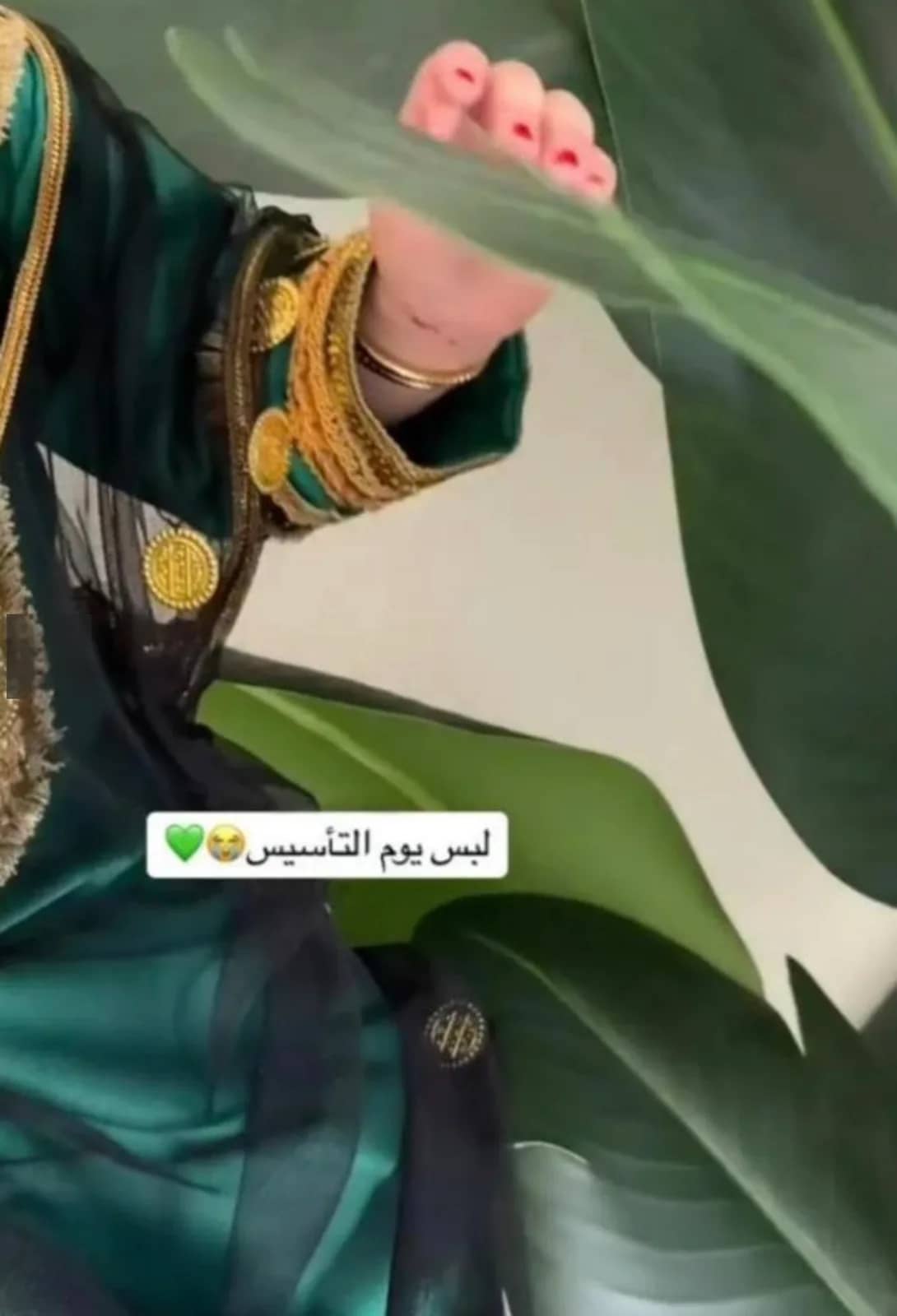 صورة المنتج
