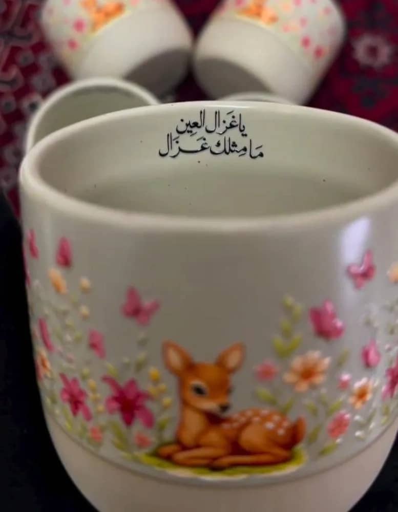 صورة المنتج