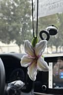 مؤشر صور المنتج